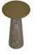 Aditi 22 X 12 inch Antique Brass / Antique Brown End Table